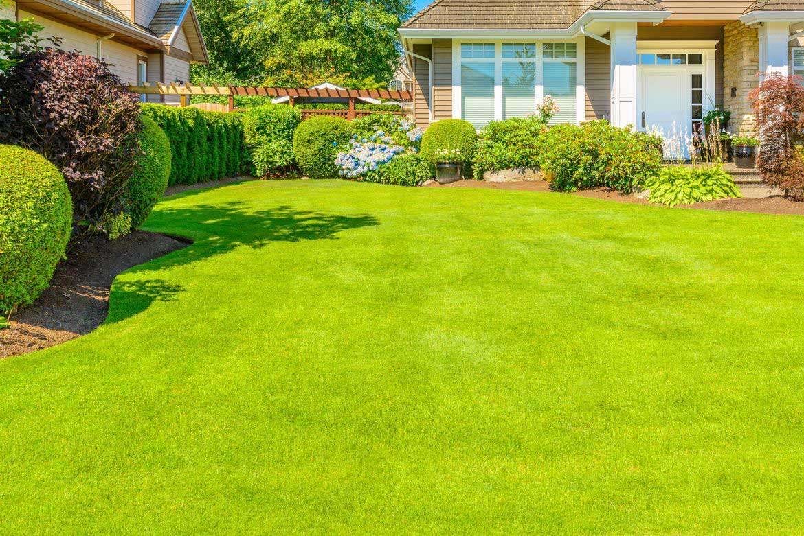 Manicured Lawn